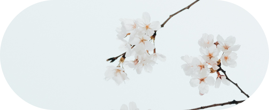 blog-detail-1