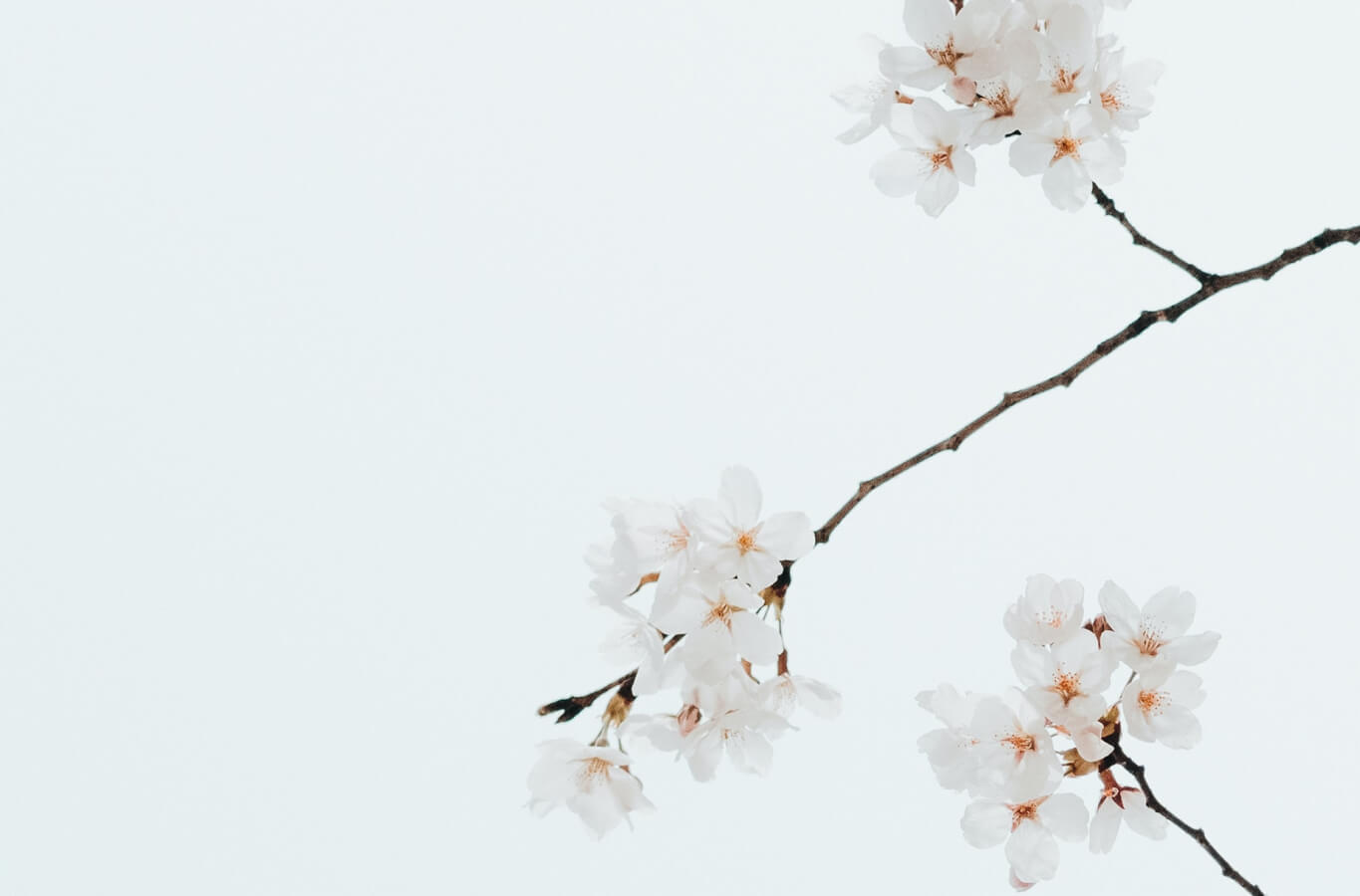 blog-new-6